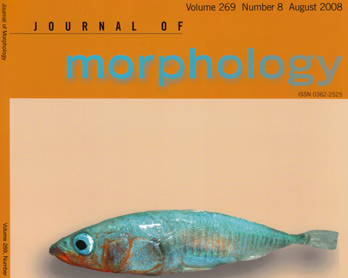 Journal of Morphology